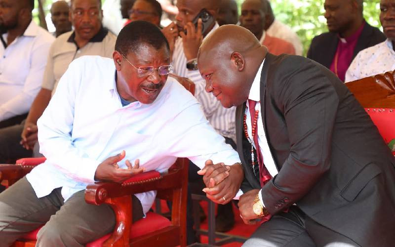 Cybercrimes law protects children, fights cults, Wetang’ula says
