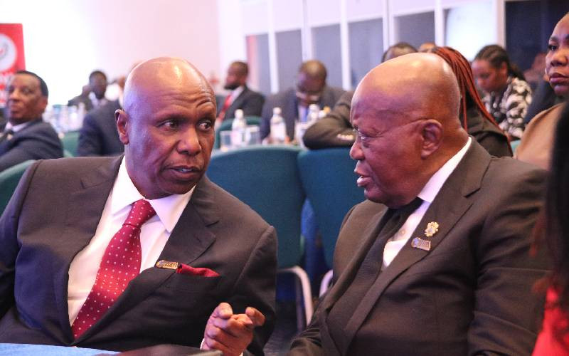 Respect human rights and democracy, African countries urged